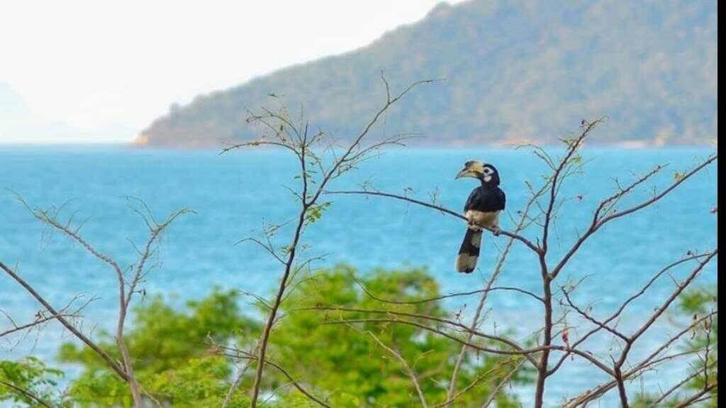 Koh Phaluay Eco Resort Surat Thani Dış mekan fotoğraf